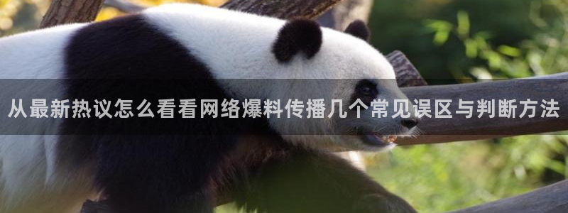 911吃瓜资讯网站
