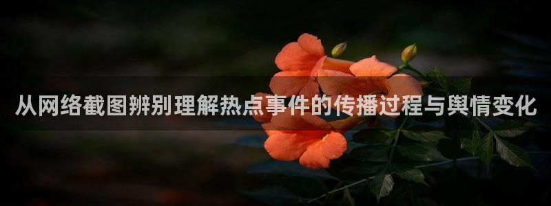 911爆料网