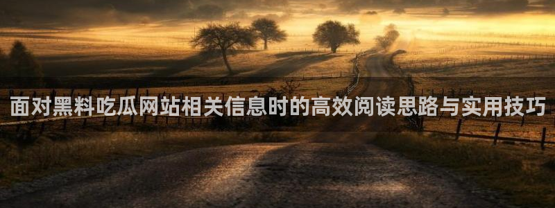 911吃瓜资讯网
