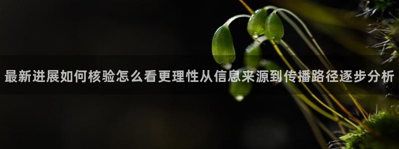 事件爆料新闻