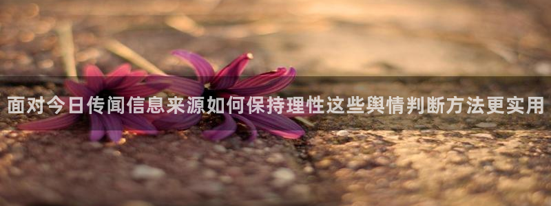 911爆料网络资讯