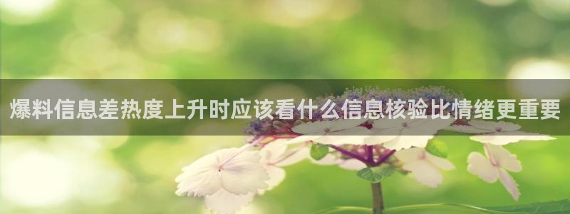 热门网络资讯