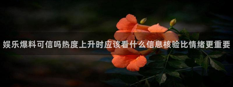 今日网络资讯